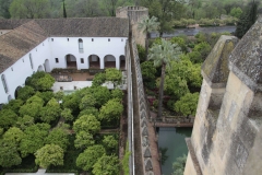 Andalousie _0314 Cordoba Alcazar
