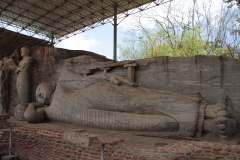 Sri Lanka aout 2017_0300 Polonnaruwa Kalu Gal Vihara